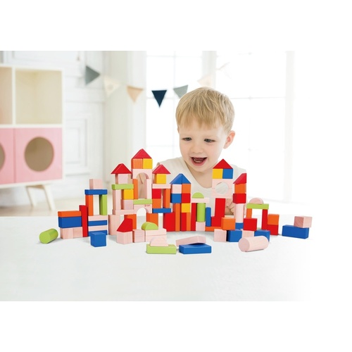 Wooden Building Blocks - 100           