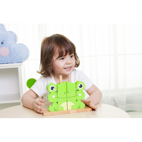 Frog Uni Blocks