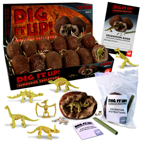Dig It Up! Dinosaur Skeletons - Single Clay egg.