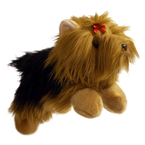 Yorkshire Terrier - FULL Bodied Hand
