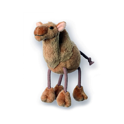 Camel