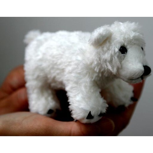 Polar Bear  