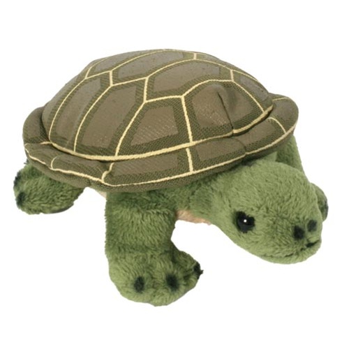 Tortoise