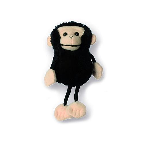 Chimp
