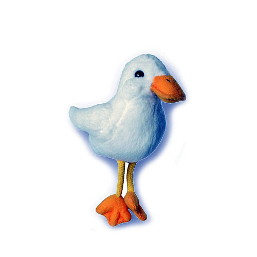 Duck White