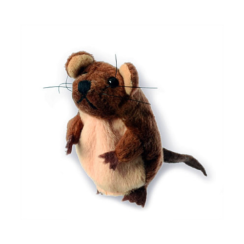 Mouse Brown