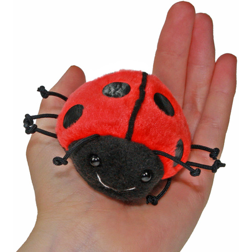 Ladybird