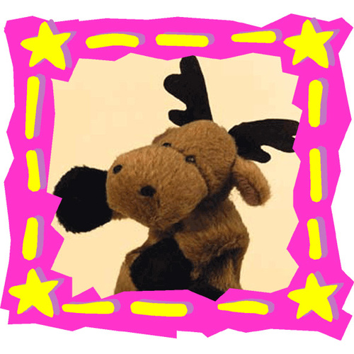 Moose    'Rudi'