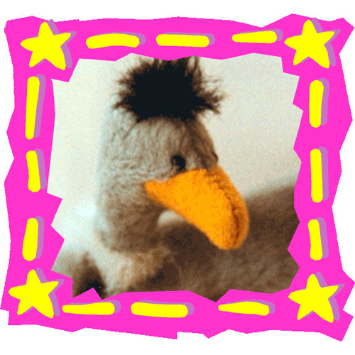 Condor    'Zapatas'