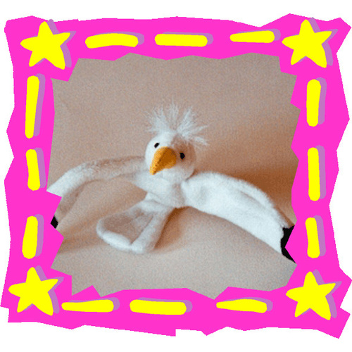 Seagull    'Moni'