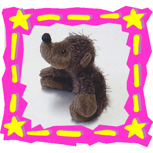 Hedgehog    'Kevin'