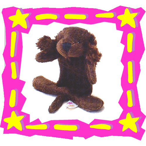 Dog    'Benny'